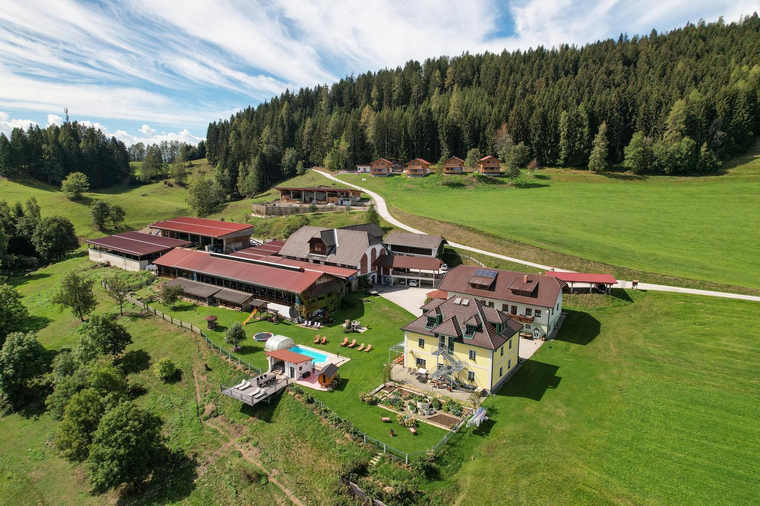 Erlebnisbauernhof Steinerhof In Kaernten Liebenfels Екстериор снимка